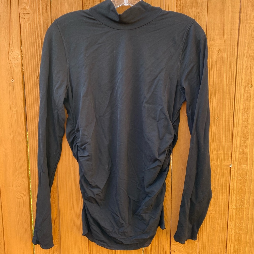 Sheer turtleneck top (Aritzia/Wilfred)